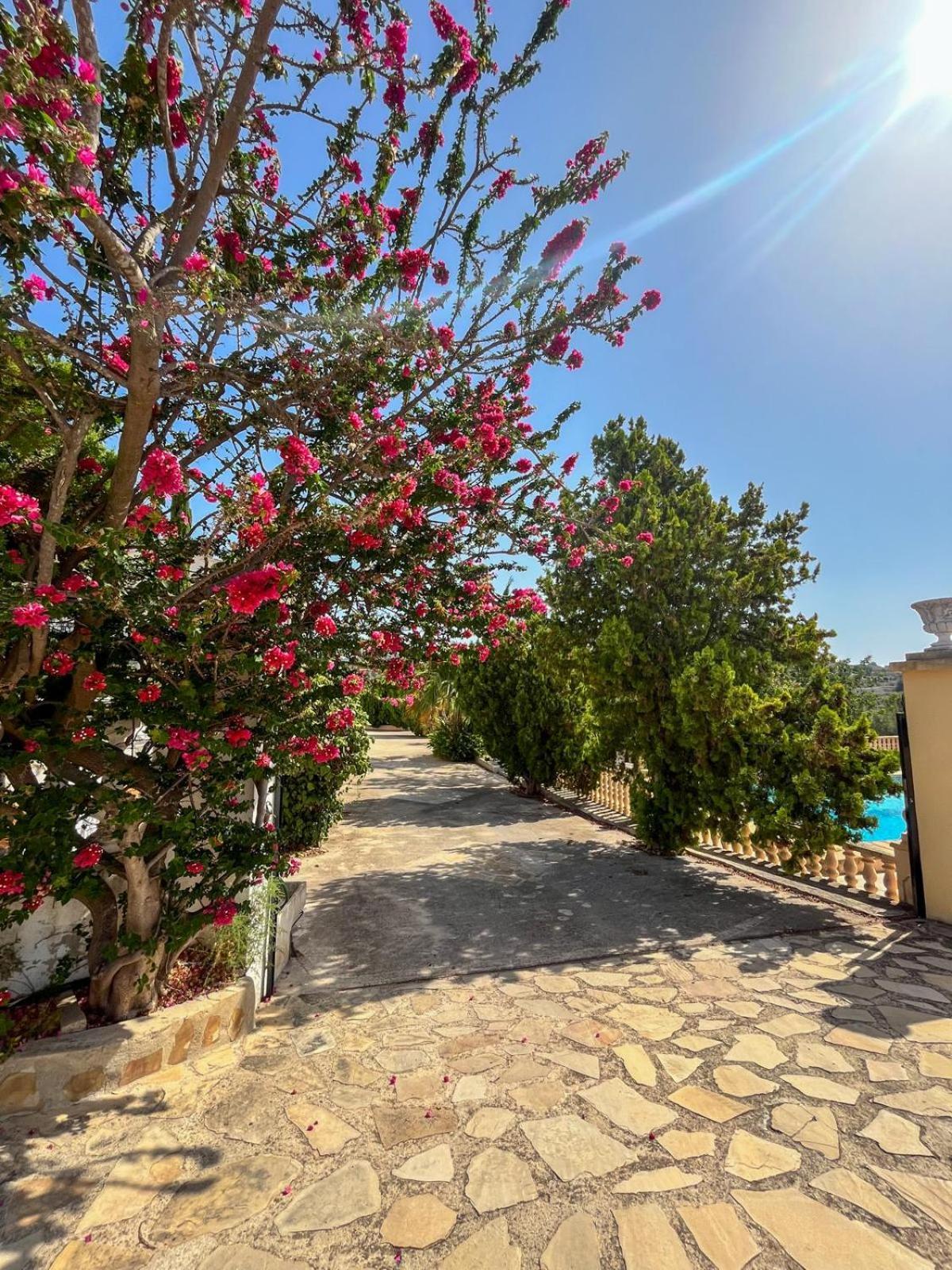 Casa Mar Benissa Calpe Appartement Buitenkant foto